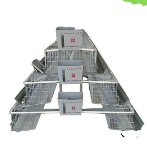 Build Sale Automatic Industrial Cheap Layer Large Portable Chicken Coop House Broiler Cage for Laying Hens Run Coop Metal Hot