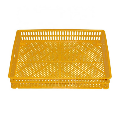 2021 top sale chicken coop pigeon cage for sale plastic transport pigeon cage