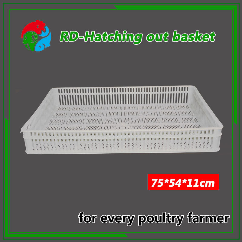 2021 top sale chicken coop pigeon cage for sale plastic transport pigeon cage