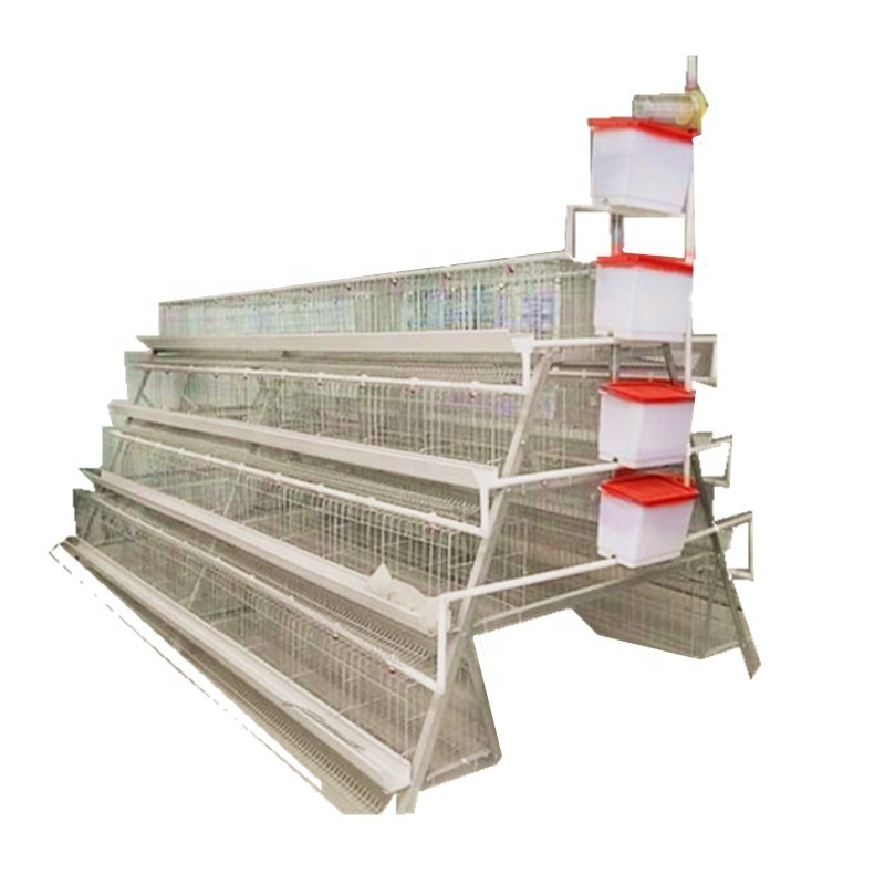 poultry  pigeon quail breeding layer battery cage with auto water system