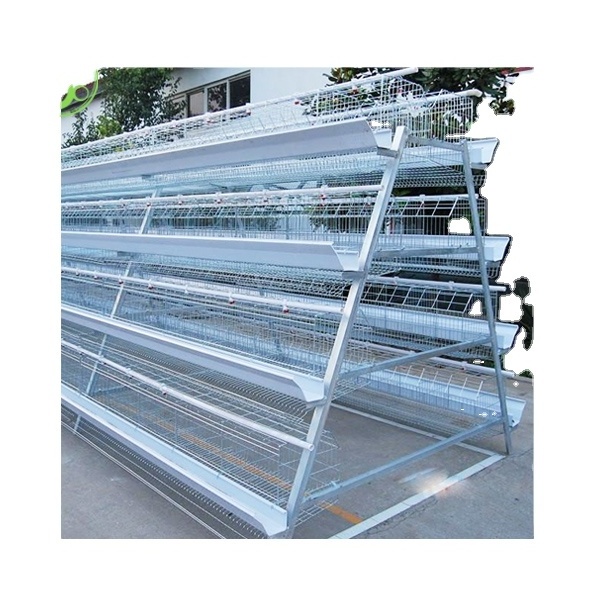 poultry  pigeon quail breeding layer battery cage with auto water system