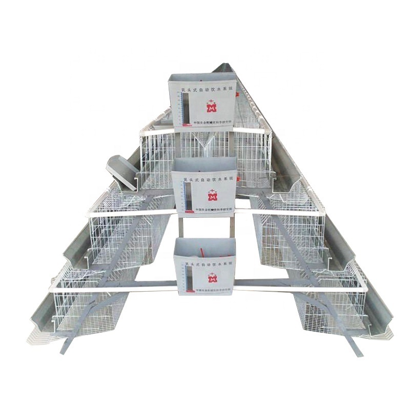 poultry  pigeon quail breeding layer battery cage with auto water system