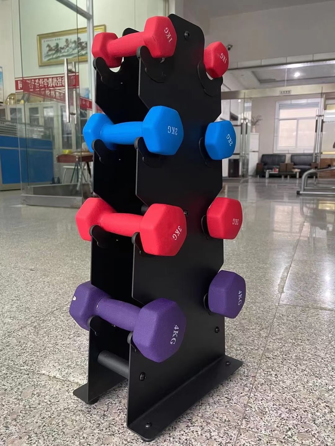 High Quality Gym Equipment Dumbbell Rack Set