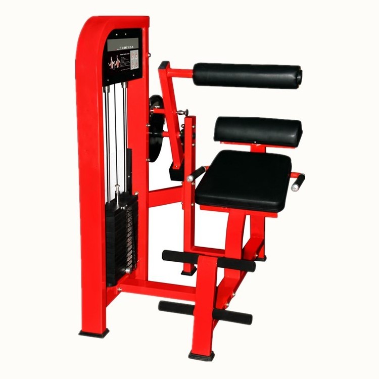 Cybex Dual Series Gym Equipment BACK EXTENSION/AB CRUNCH