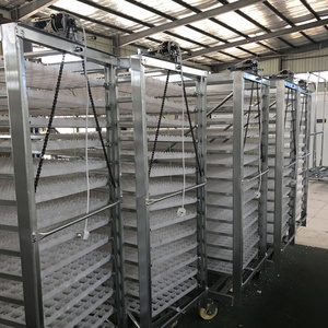 Chicken usage 22528 eggs automatic incubator and hatcher in Bangladesh