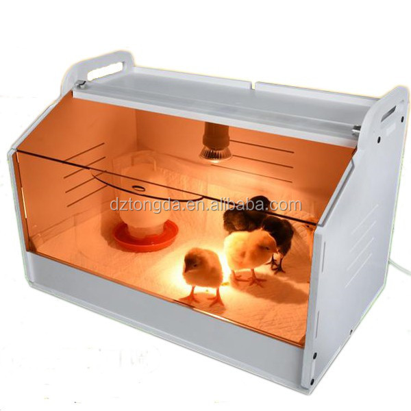 Plastic portable brooder for parrots made in China brooder for chicks factory