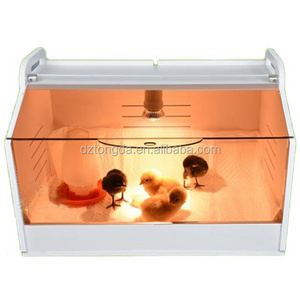 Plastic portable brooder for parrots made in China brooder for chicks factory