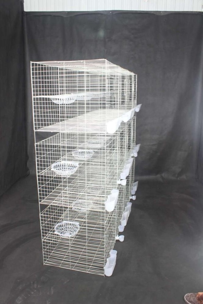 Cheap Layer Pigeon Breeding Cage for Sale Pigeon Cage