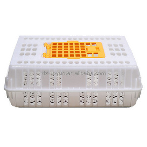 wholesale plastic chicken crates plastic transport boxes  with lock