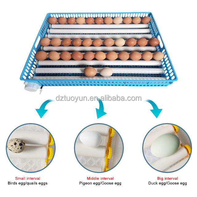 TUOYUN Factory Wholesale Dual Dower Supply Quail Turkey 500 Eggs With Roller Lovebirds Egg Incubator