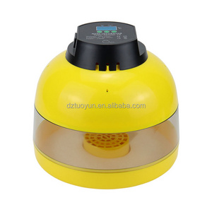 TUOYUN Good Quality Automatic For Small-sized Incubator 10 Egg Mini Parrot Eggs Incubator