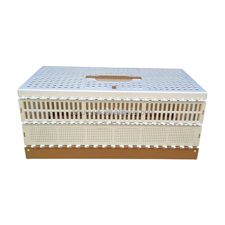 TUOYUN Best Sell De Transport Pour Birds Racing Cage Stainless Steel Training Box For Pigeon Indivibual