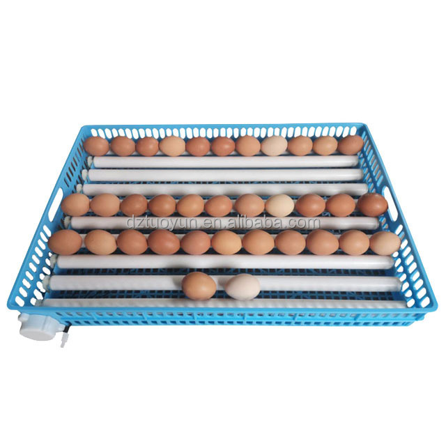 TUOYUN Factory Wholesale Dual Dower Supply Quail Turkey 500 Eggs With Roller Lovebirds Egg Incubator