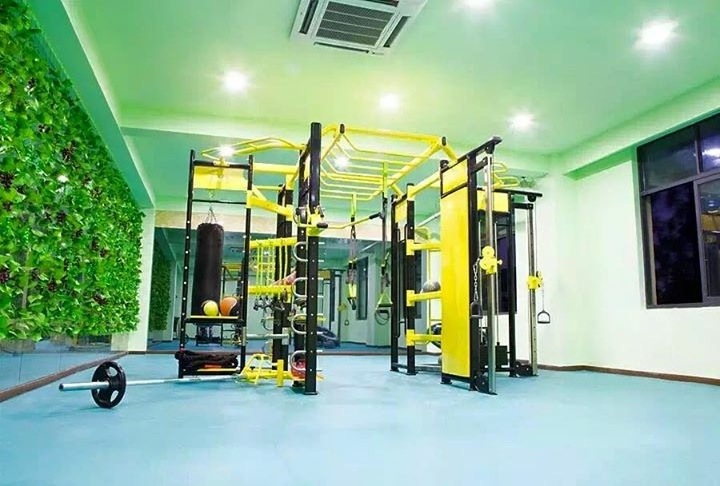 TZ-360XL commercial home use gym body building Synergy 360  Fitness Equipment , Gym Equipment