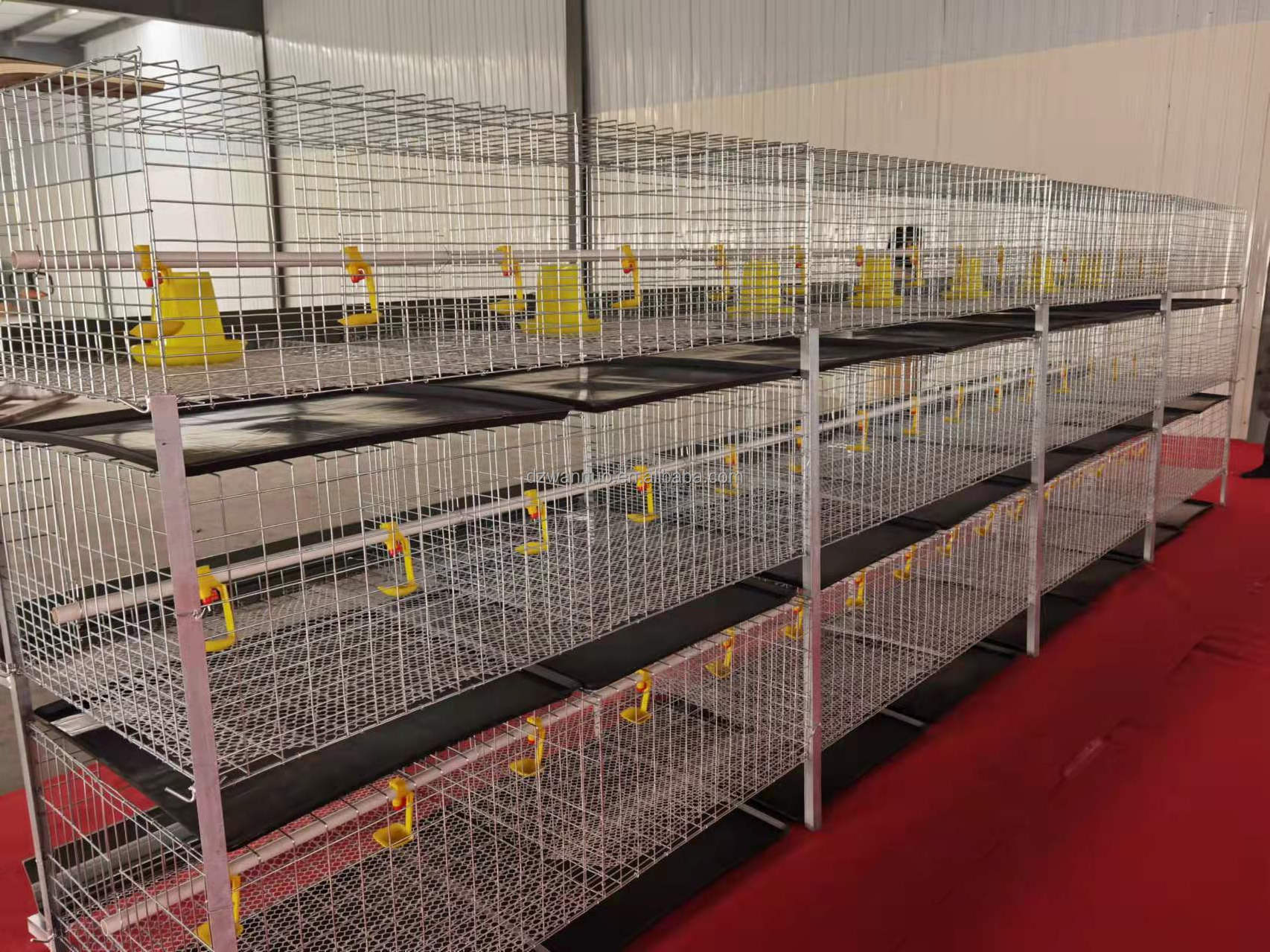 Poultry Farming Equipment Automatic Poultry Chicken Breeding Cage H Type Broiler Cage For Sale