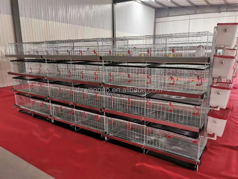 Poultry Farming Equipment Automatic Poultry Chicken Breeding Cage H Type Broiler Cage For Sale