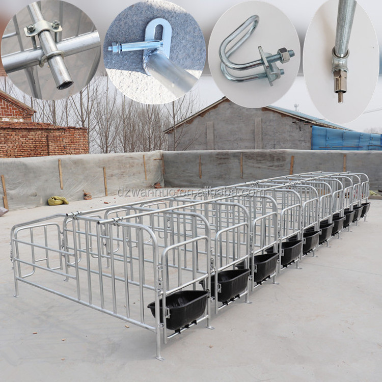 2024 Great Quality Farrowing Pen Farrowing Crates For Pigs Farrowing Crates For Pig Farm Equipment