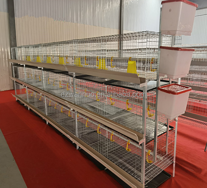 Poultry Farming Equipment Automatic Poultry Chicken Breeding Cage H Type Broiler Cage For Sale