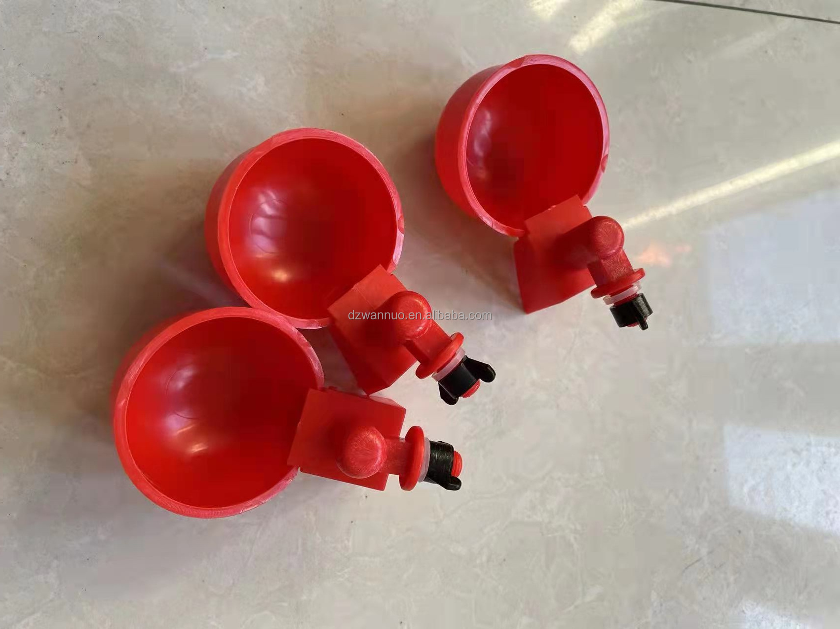 Wholesale Automatic Chicken Water Cup Waterer Poultry Parrot Drinker Feeder Drinking Bird Bowl Tool Livestock Equipment