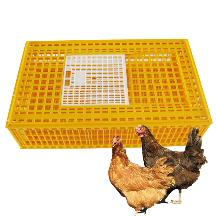 Reusable Broiler Transport Cages 100% Raw Material Chick Transport Box Strong Poultry Transport Crate For Poultry Farm