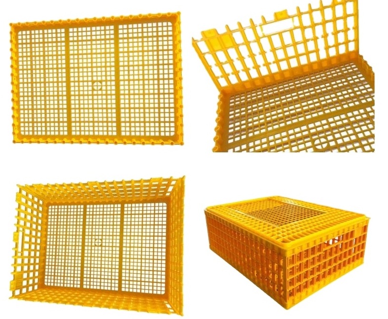 Durable coop Professional  bird adult chicken transport crate with CE certificate poultry cage quail