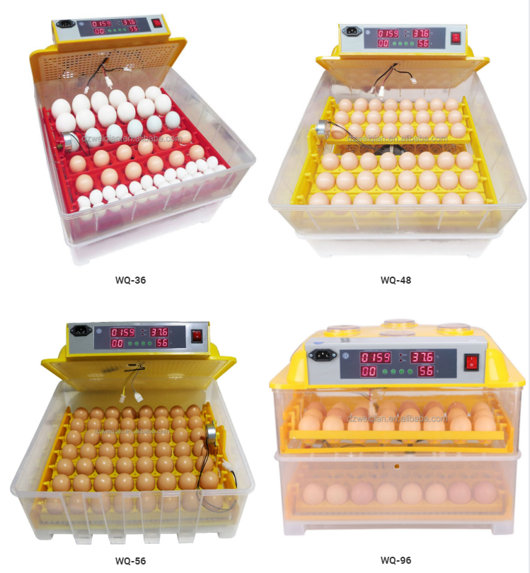 household Fully automatic chicken breeding machine/chicken incubator for sale/egg breeding machine egg incubators