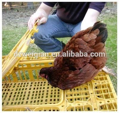 Poultry Carrier Crate Plastic Chicken Transport Cage Chicken Carrier Travel Crate Basket Box for Poultry Bird Duck Goose,