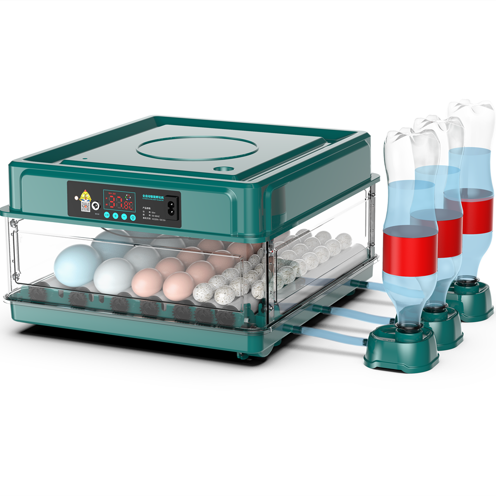 Newest 48 Eggs automatic chicken egg Incubator and hatcher machine