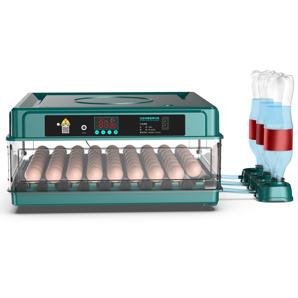 Newest 48 Eggs automatic chicken egg Incubator and hatcher machine