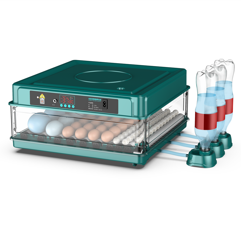 Newest 48 Eggs automatic chicken egg Incubator and hatcher machine