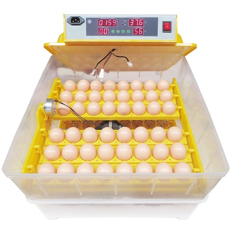 Factory sale WQ-96 mini egg incubator for sale, cheap small incubator prices india