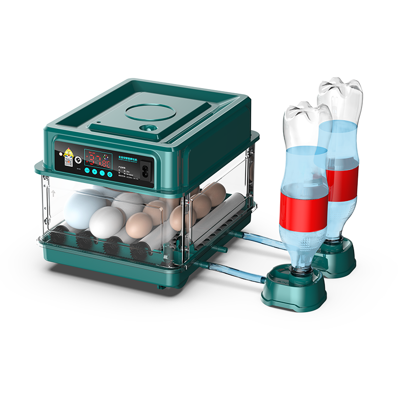 15 Egg Capacity Adjustable Egg Tray Automatic Egg Incubator for Poultry Farm Use