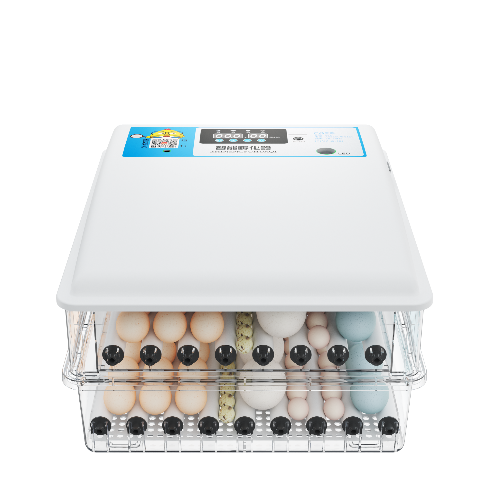 Wholesale Energy Saving 128 Egg Capacity Quail Egg Incubator