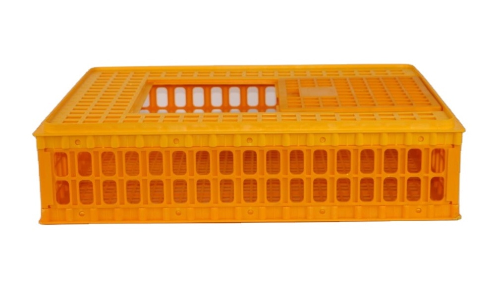 Poultry Farm Use Transport Crates Plastic Pigeon Cages for Sale