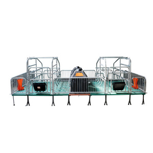 Pig Breeding Equipment Pig Nursery Pen Farrowing Crates For Pigs