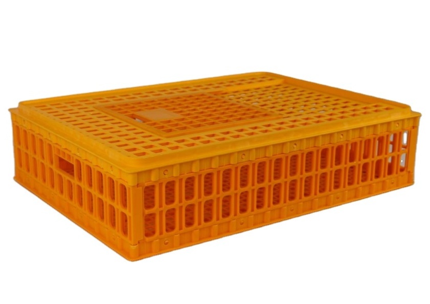 Poultry Farm Use Transport Crates Plastic Pigeon Cages for Sale