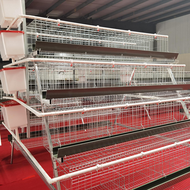 Poultry cage laying hen broiler chicken cage large capacity poultry farm automatic chicken cage with egg pick up system