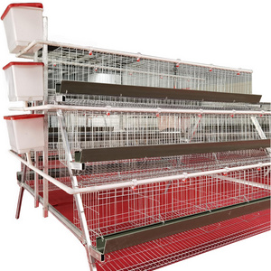 Poultry cage laying hen broiler chicken cage large capacity poultry farm automatic chicken cage with egg pick up system