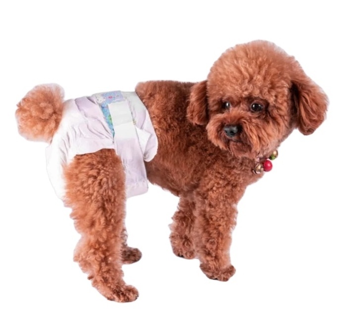 Male/Female Dog Diaper Animal Training Diaper Pet Products Dog Cat Animal Hygiene Pet Wraps Per Care Disposable Pet Diaper