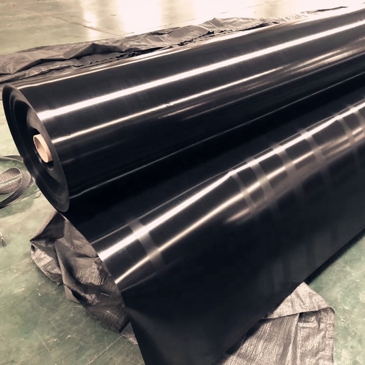 HDPE Landfill Smooth Surface/Textured Geomembrane Manufacturer