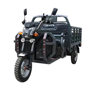 High power electric closed cargo tricycle adult electric 3 wheel cargo tricycle China electric car factory direct sale