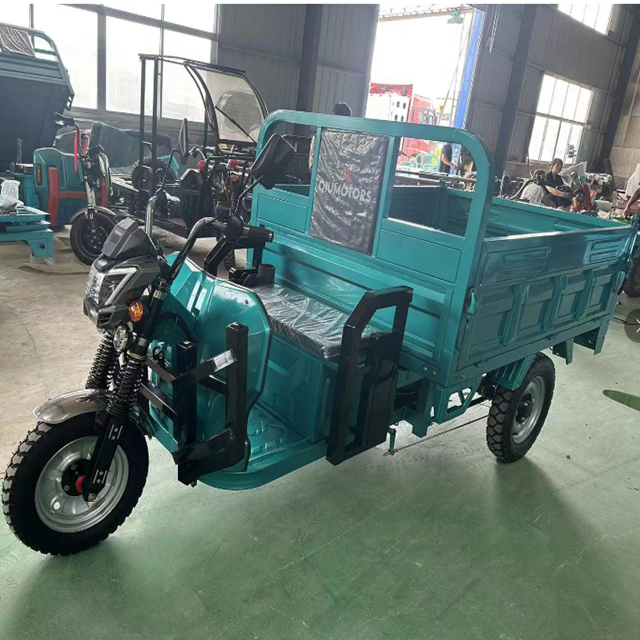 Made in China Electric Tricycle Electric Vehicle 3 Wheel Cargo Manned Wholesale Agricultural Household Commercial Motorcycle