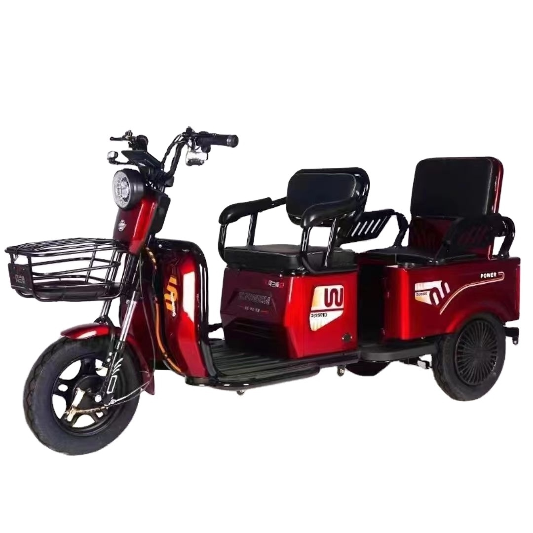 2024 New Electric Pedicab 800W Family Use Adult Electric Tricycle 3 Wheel Electric Bike With Roof