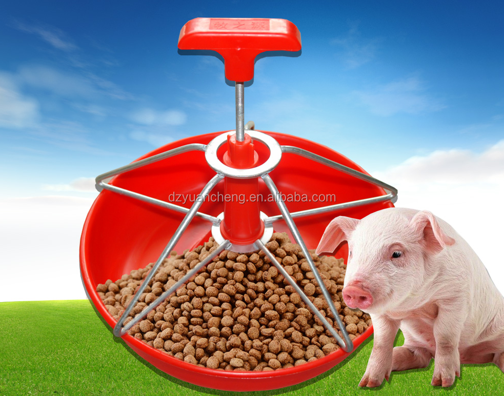 high quality feeder pig automatic piglet hog feeding bowl used pig feeder equipment for sale breeding BestSuppliers