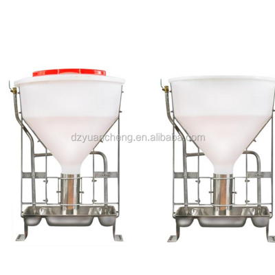 automatic dry wet pig feeder pig feeding through automatic pig feeder 80kg 100kg 120kg trough