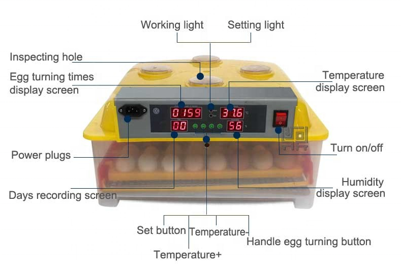 Mini  Chicken Egg Incubator For Sale /ZHENGHANG ZH-56 mini incubator in low price