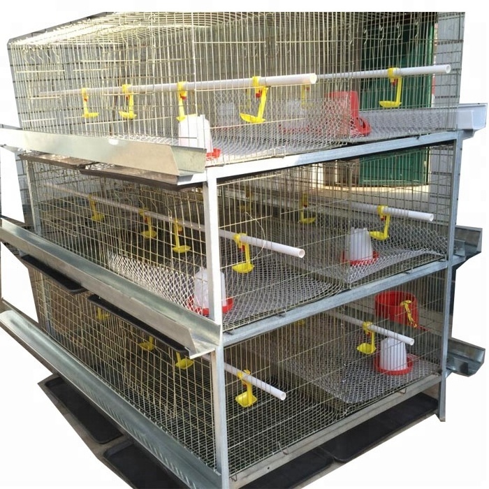 broiler cage, chicken layer cage (Whatsapp: +8615965977837)