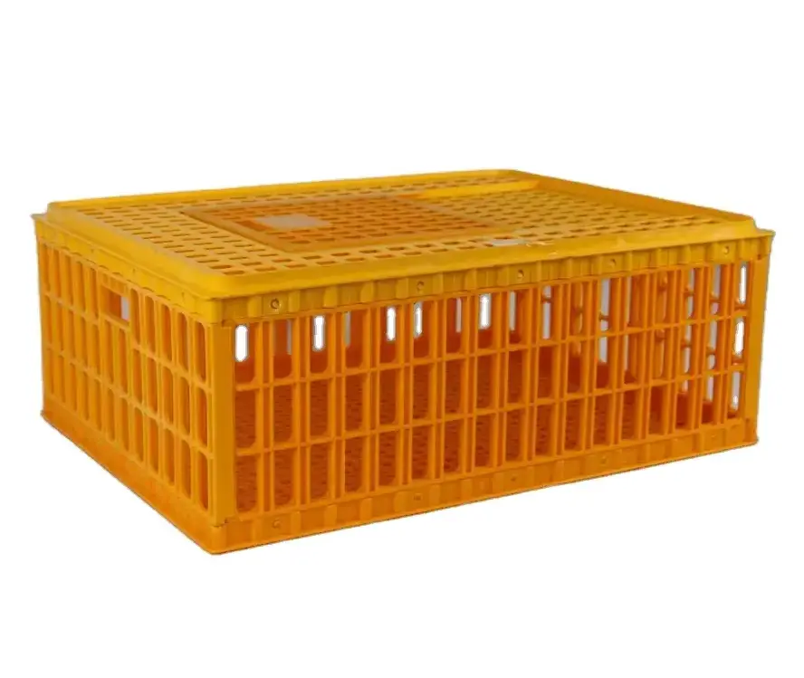 100% PE material plastic poultry transport cage, transport crates for live poultry (skype: zh-lydia)