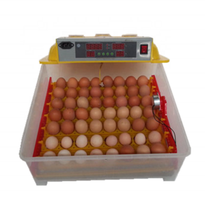 Mini  Chicken Egg Incubator For Sale /ZHENGHANG ZH-56 mini incubator in low price