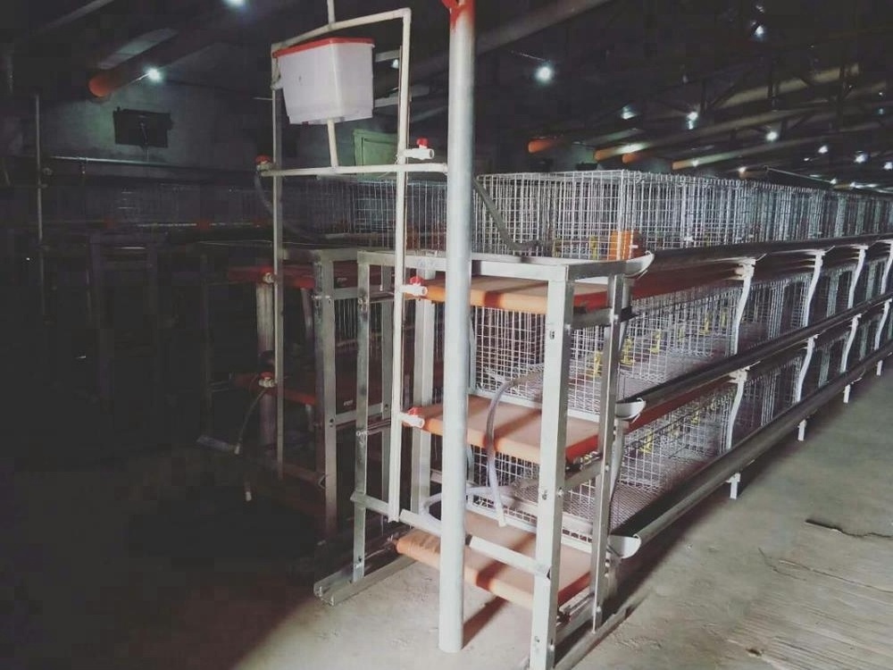 broiler cage, chicken layer cage (Whatsapp: +8615965977837)